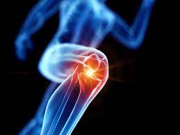Anterior cruciate ligament